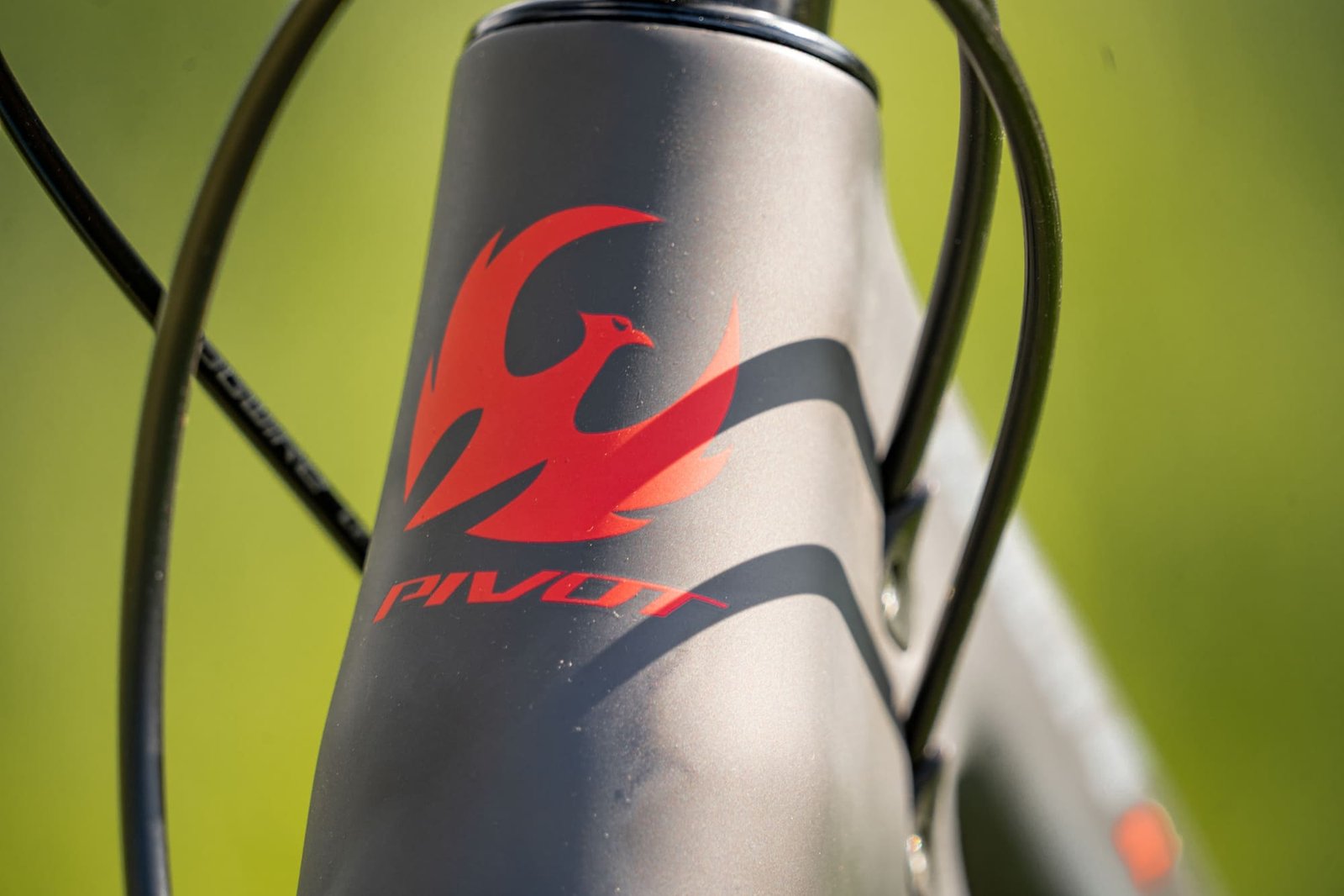 logo pivot