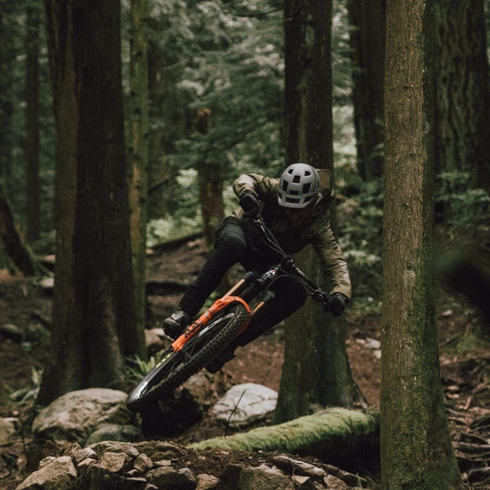 VAE rocky mountain