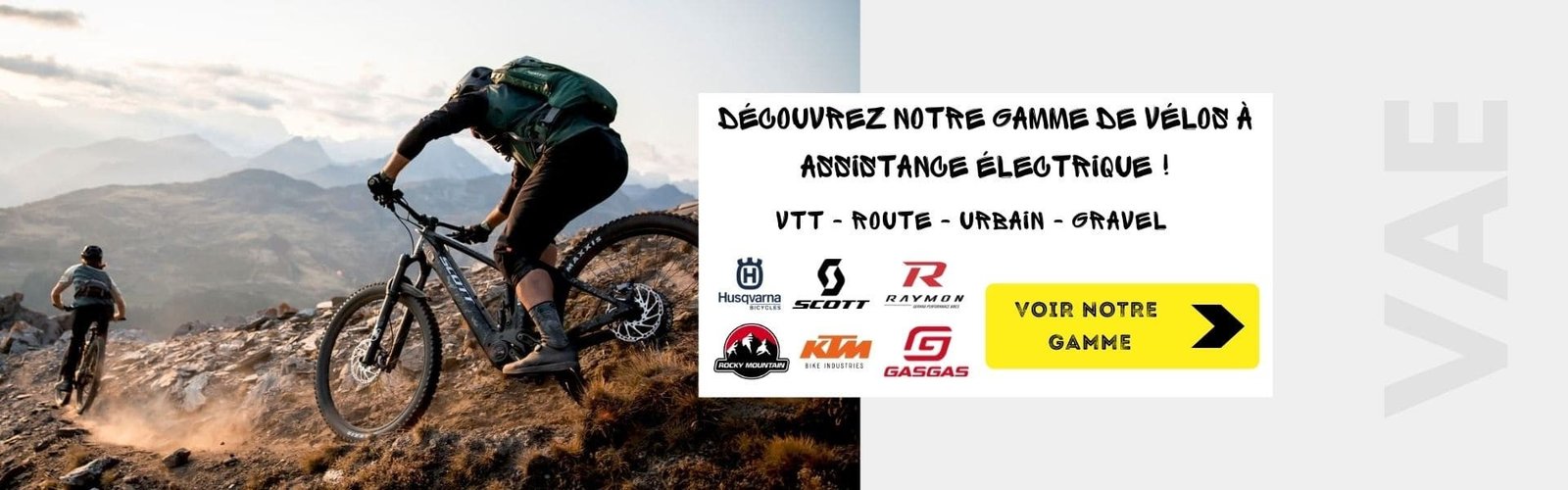 Gamme de vélos VAE